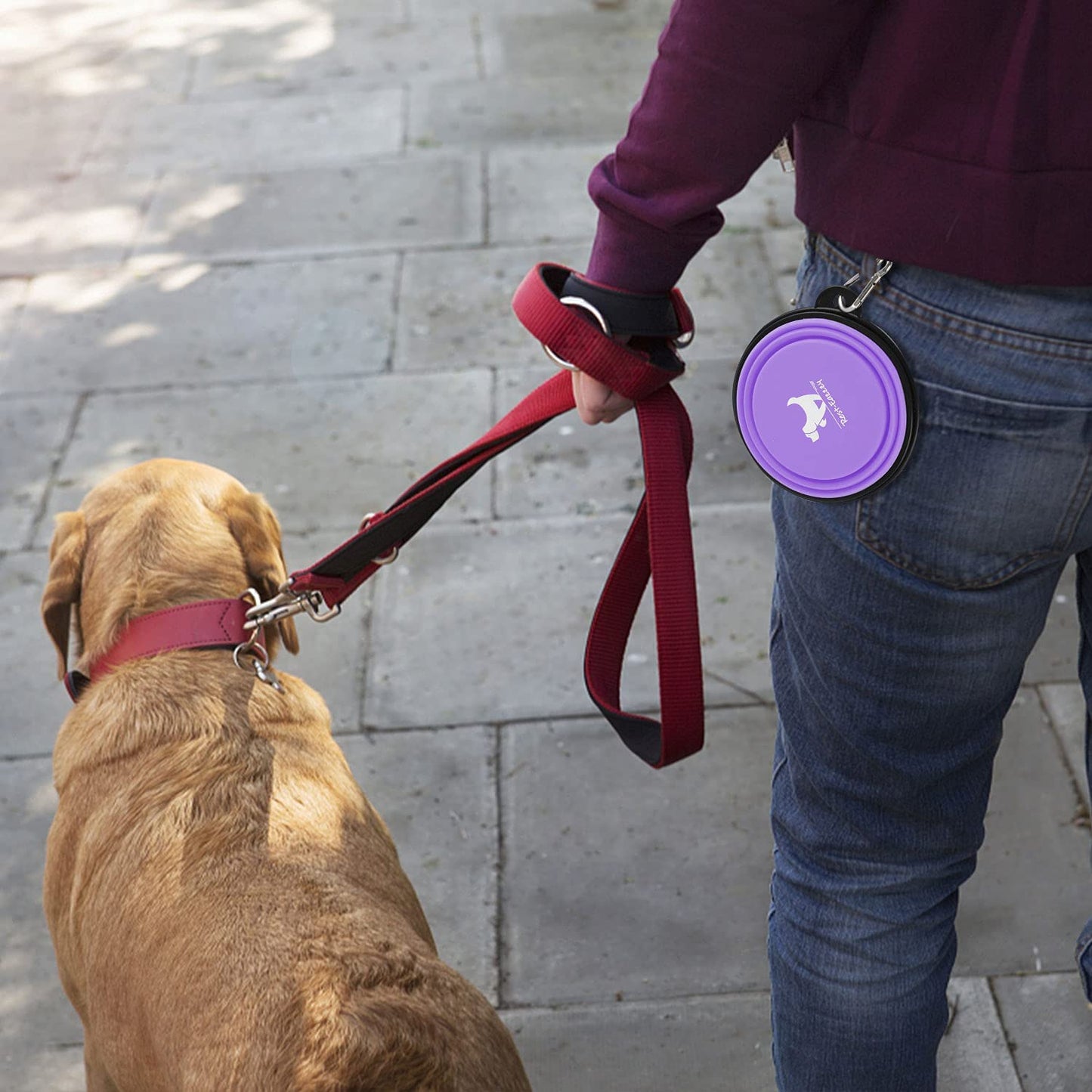 Collapsible Dog Bowls for Travel β 2-Pack BPA-Free Silicone Foldable Food & Water Bowls with Carabiner Clips | For Dogs & Cats | Purple & Pink, Small