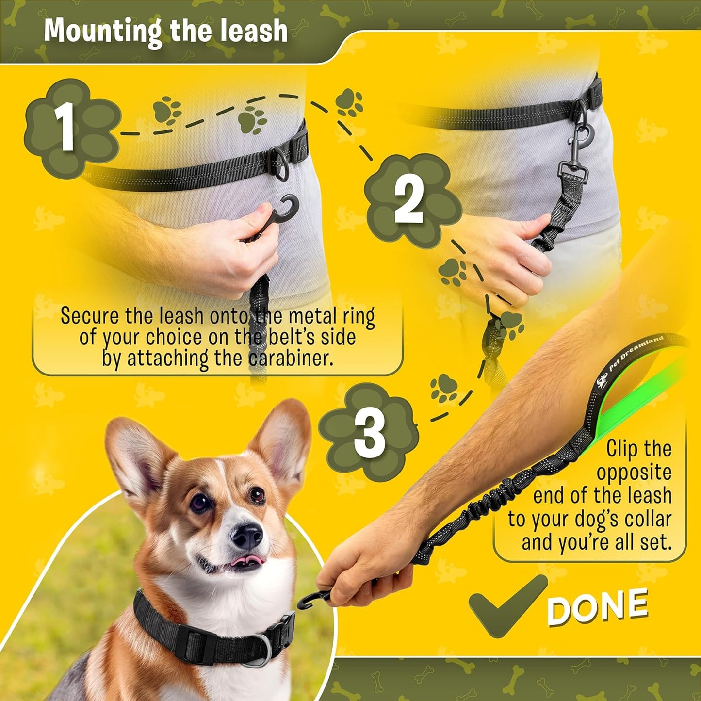 Hands-Free Dog Leash with Waist Belt — Triple Bungee Shock-Absorbing Leash for Medium Dogs | 2 Padded Handles, Reflective Stitching | Running, Walking, Hiking & Skijoring