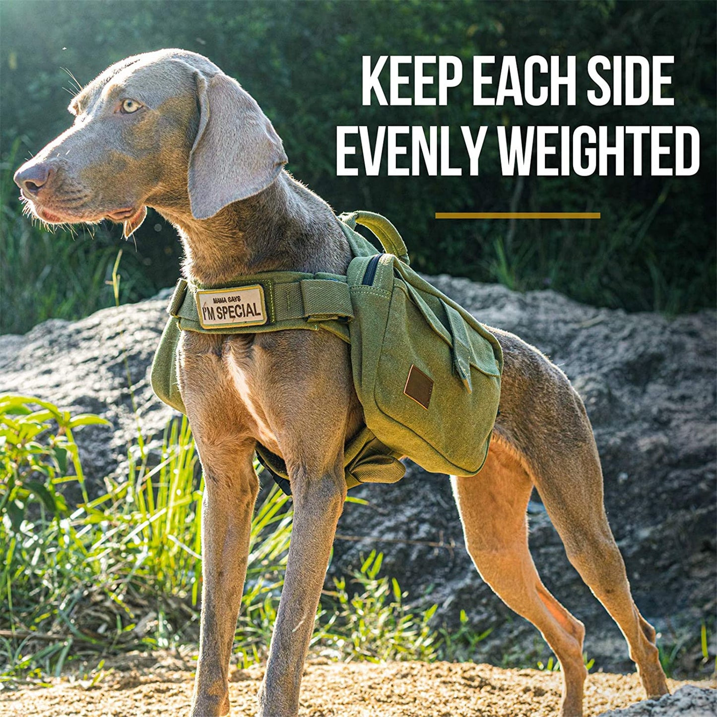 OneTigris Dog Hiking Backpack — Hoppy Camper 2.0 Saddle Bag for Medium & Large Dogs | Cotton Canvas, YKK Zippers & D-Ring | Camping, Trail & Travel Pack | Green, Large