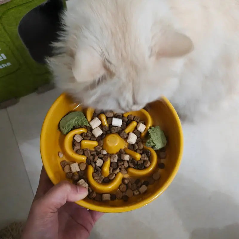 Ceramic Slow Feeder Bowl for Dogs & Cats β Flower Pattern, Anti-Slip Base | Prevents Bloat & Vomiting | 16cm Wide Opening | Multiple Colors
