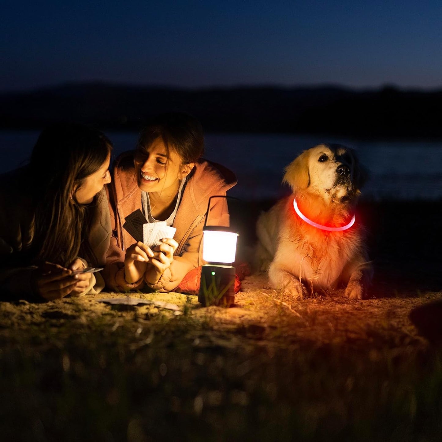 LED Light-Up Dog Collar — USB Rechargeable, 360° Glow, Visible Up to 400 Yards | 3 Flash Modes | Adjustable for All Sizes | Water-Resistant Night Safety Collar | Red