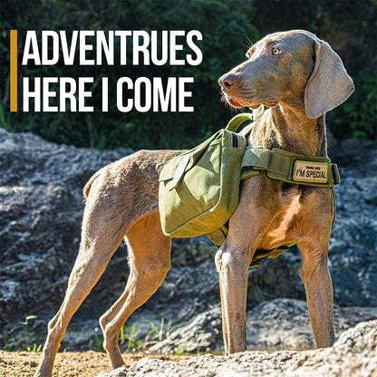 OneTigris Dog Hiking Backpack — Hoppy Camper 2.0 Saddle Bag for Medium & Large Dogs | Cotton Canvas, YKK Zippers & D-Ring | Camping, Trail & Travel Pack | Green, Large