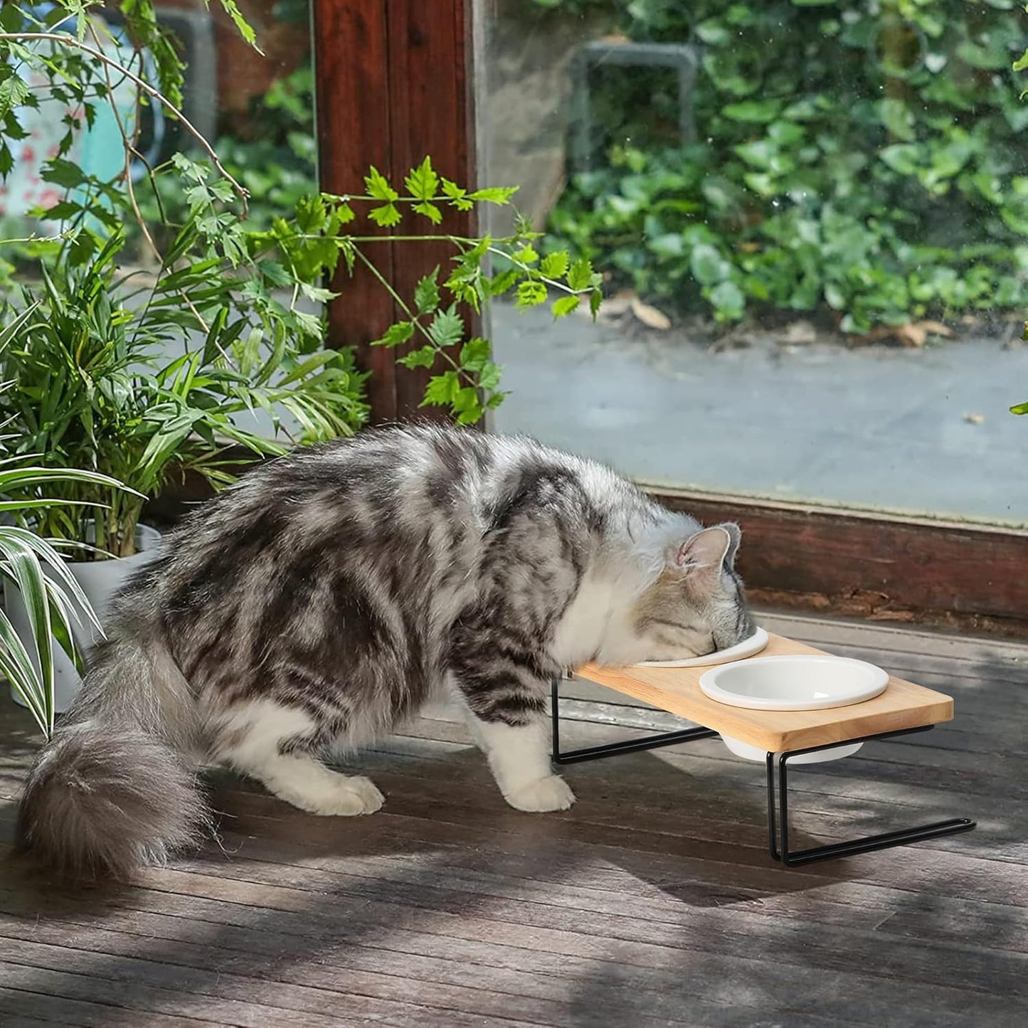 Elevated Ceramic Cat Bowls with Solid Wood Stand — Raised Food & Water Feeder Set for Cats & Puppies | Whisker-Friendly, Dishwasher Safe, Non-Slip | SGS Certified Food-Grade
