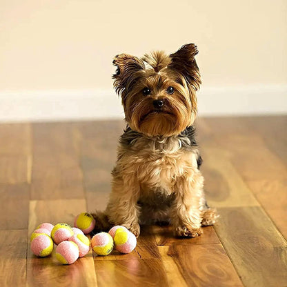 Mini Dog Tennis Balls 1.5" — Pack of 12 Yellow & Pink | Soft Fabric Fetch Balls for Small Dogs & Puppies | Fits Automatic Ball Launchers | No Squeaker