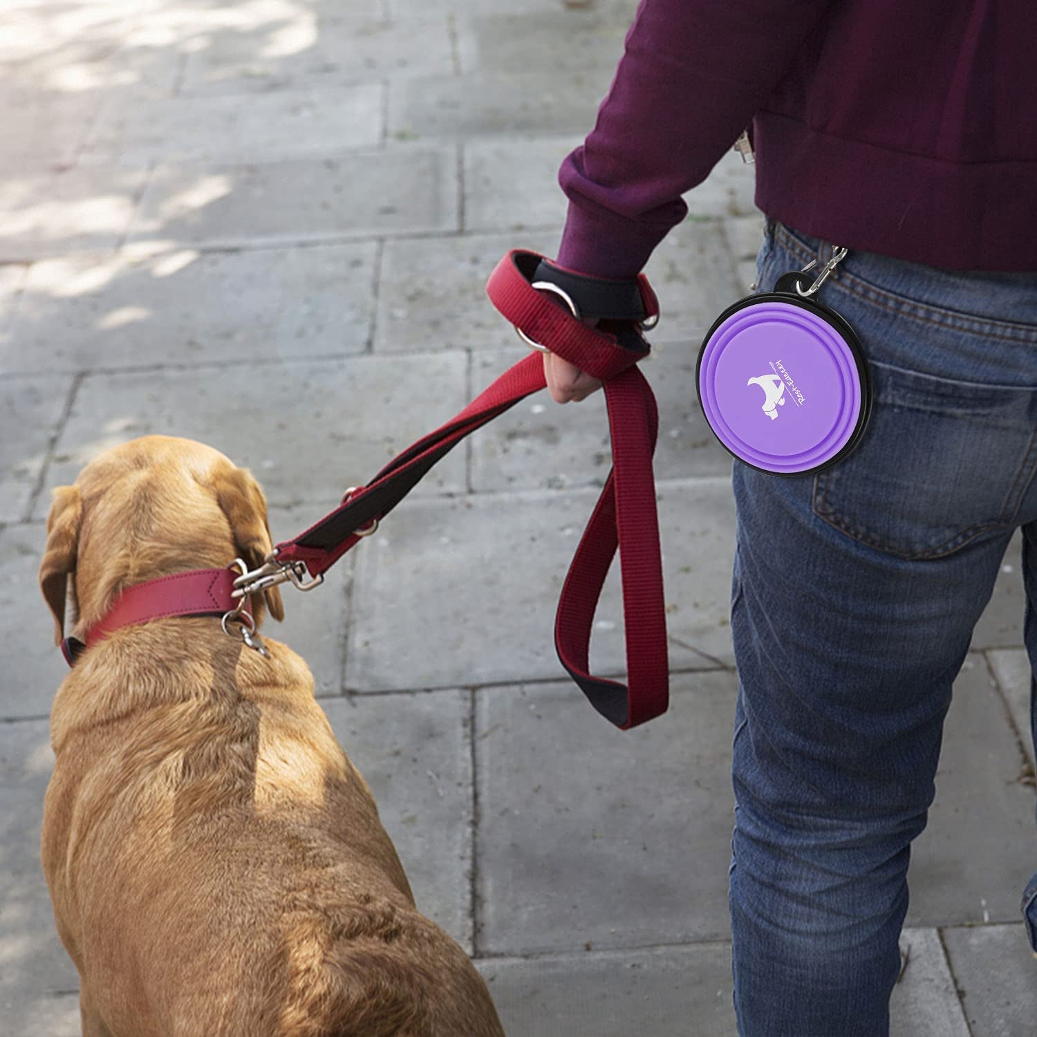 Collapsible Dog Bowls for Travel — 2-Pack BPA-Free Silicone Foldable Food & Water Bowls with Carabiner Clips | For Dogs & Cats | Purple & Pink, Small