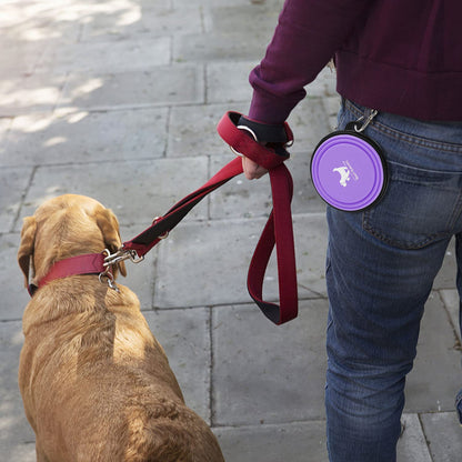 Collapsible Dog Bowls for Travel — 2-Pack BPA-Free Silicone Foldable Food & Water Bowls with Carabiner Clips | For Dogs & Cats | Purple & Pink, Small