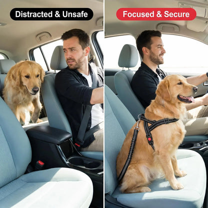 Adjustable Dog Car Seat Belt — Dual Fixing Design with Headrest Attachment & Seat Buckle | Shock-Absorbing, Heavy-Duty Metal Clip | For Small & Large Dogs | Safe & Comfortable Car Rides