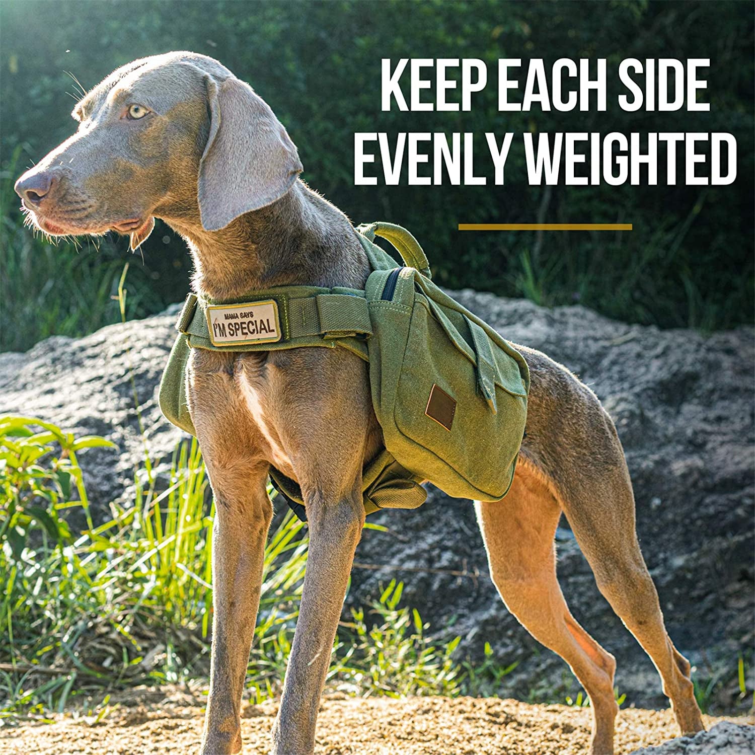 OneTigris Dog Hiking Backpack — Hoppy Camper 2.0 Saddle Bag for Medium & Large Dogs | Cotton Canvas, YKK Zippers & D-Ring | Camping, Trail & Travel Pack | Green, Large