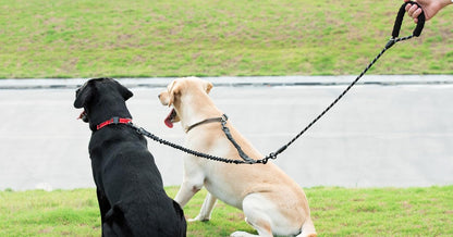 iYoShop Dual Dog Leash — 360° Swivel, No-Tangle Double Walking Leash with Shock-Absorbing Bungee | Padded Handle | For Two Large Dogs 25–150 lbs | Black