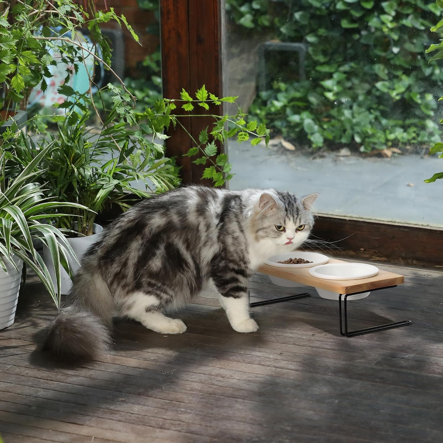 Elevated Ceramic Cat Bowls with Solid Wood Stand — Raised Food & Water Feeder Set for Cats & Puppies | Whisker-Friendly, Dishwasher Safe, Non-Slip | SGS Certified Food-Grade