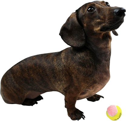 Mini Dog Tennis Balls 1.5" — Pack of 12 Yellow & Pink | Soft Fabric Fetch Balls for Small Dogs & Puppies | Fits Automatic Ball Launchers | No Squeaker