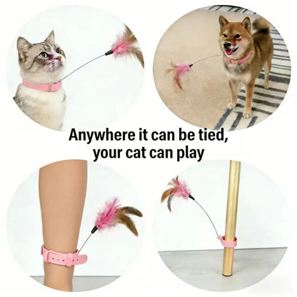 Feather Cat Toy Collar — Interactive Wand Teaser with Bell | Adjustable Silicone Neck Collar | Indoor Hunting & Exercise Toy for Cats & Kittens
