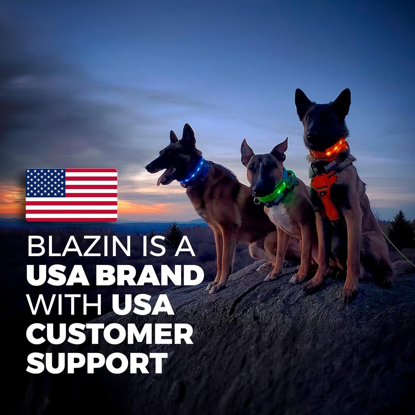 BLAZIN Light-Up Dog Leash — USB Rechargeable, Visible Up to 1,000 Feet | Waterproof, 3 Lighting Modes | 4ft, Purple | Glow-in-the-Dark LED Leash for Night Walks