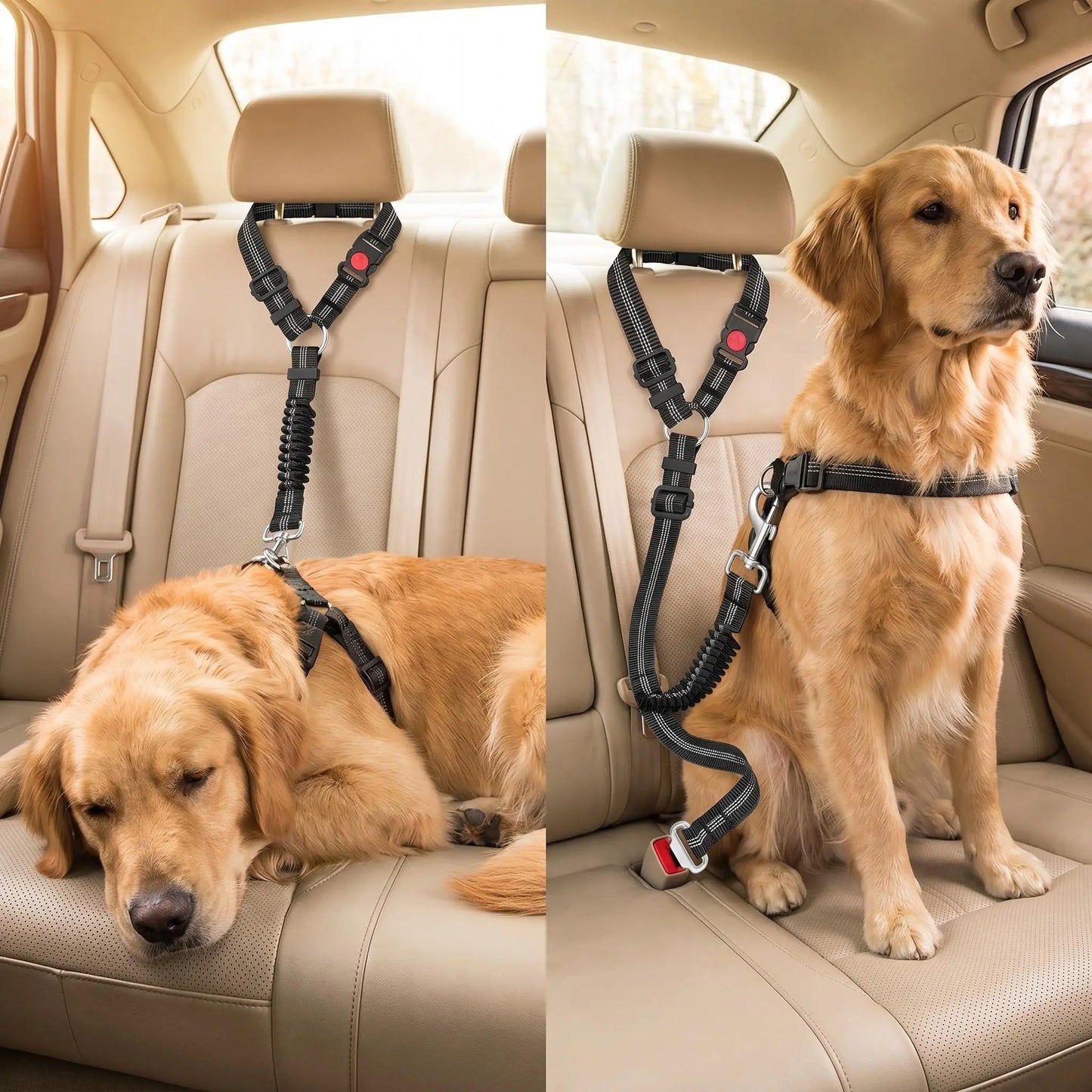 Adjustable Dog Car Seat Belt — Dual Fixing Design with Headrest Attachment & Seat Buckle | Shock-Absorbing, Heavy-Duty Metal Clip | For Small & Large Dogs | Safe & Comfortable Car Rides