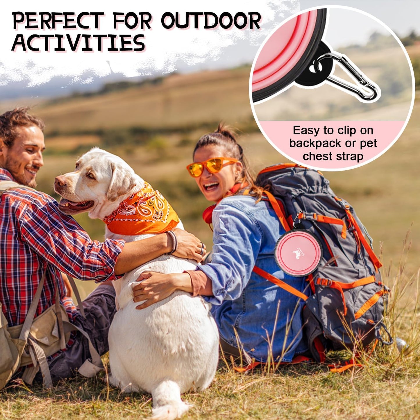 Collapsible Dog Bowls for Travel — 2-Pack BPA-Free Silicone Foldable Food & Water Bowls with Carabiner Clips | For Dogs & Cats | Purple & Pink, Small