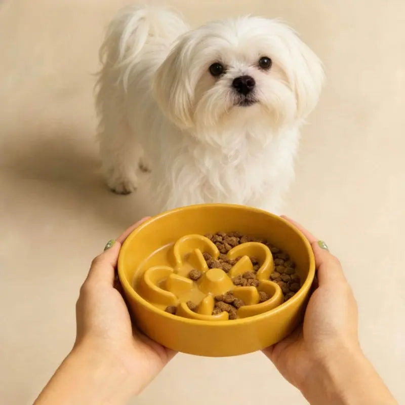 Ceramic Slow Feeder Bowl for Dogs & Cats — Flower Pattern, Anti-Slip Base | Prevents Bloat & Vomiting | 16cm Wide Opening | Multiple Colors