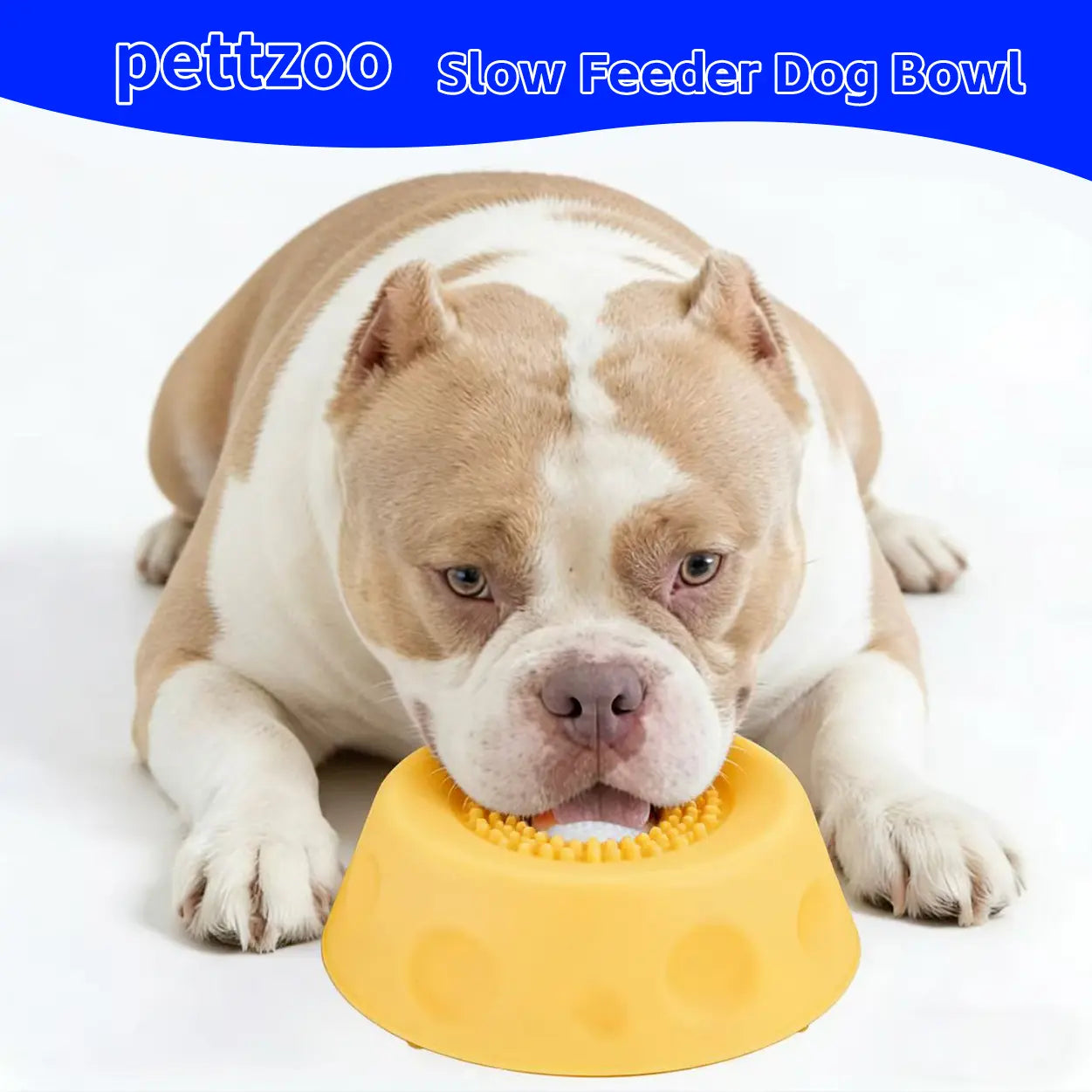 2-in-1 Dog Slow Feeder Bowl & Lick Mat with Rolling Ball — Suction Cup Base | No-Mess Liquid Treat Dispenser | Mental Enrichment & Digestive Health