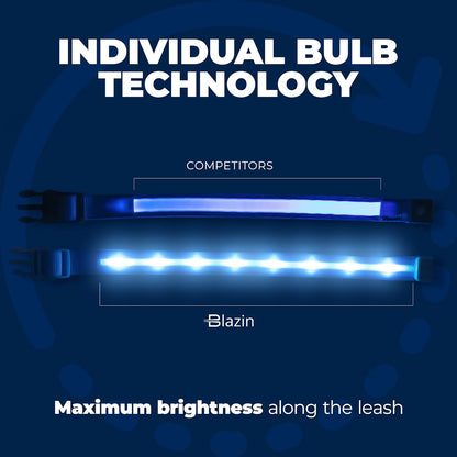 BLAZIN Light-Up Dog Leash — USB Rechargeable, Visible Up to 1,000 Feet | Waterproof, 3 Lighting Modes | 4ft, Purple | Glow-in-the-Dark LED Leash for Night Walks