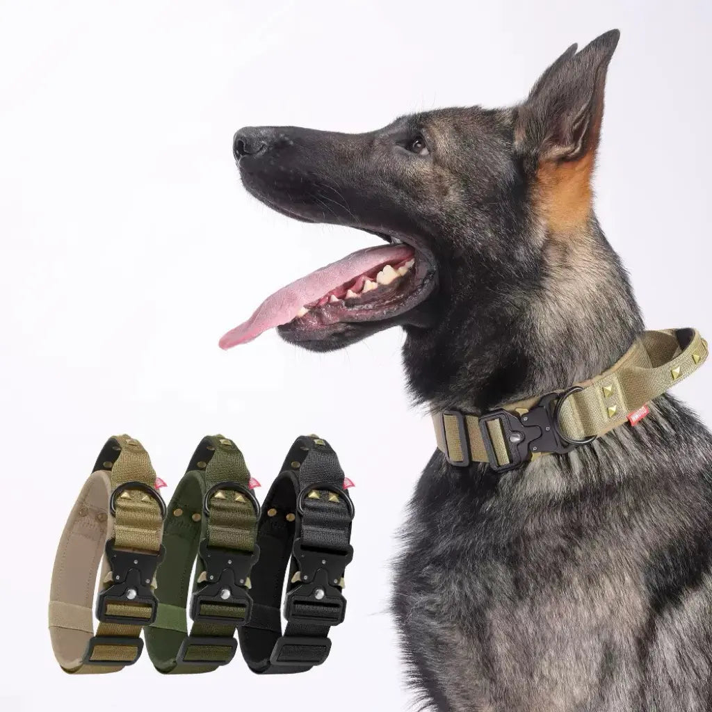 AUROTH Tactical Dog Collar — Military-Grade Nylon, Heavy-Duty Metal Buckle & Control Handle | Adjustable, Padded & Durable | For Small, Medium & Large Dogs