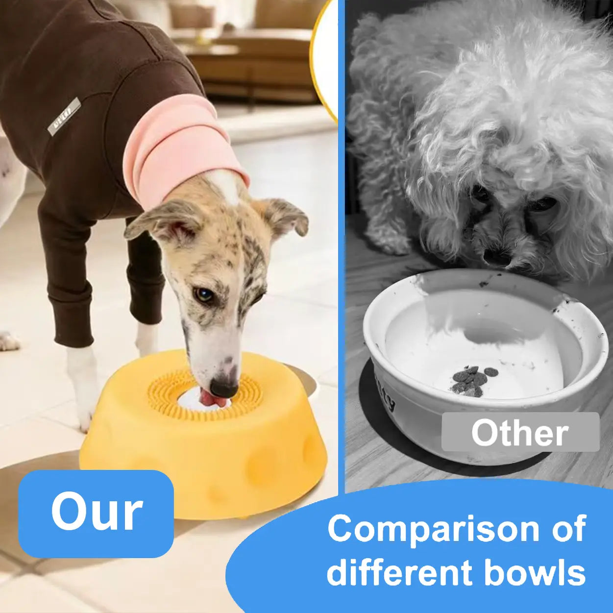 2-in-1 Dog Slow Feeder Bowl & Lick Mat with Rolling Ball — Suction Cup Base | No-Mess Liquid Treat Dispenser | Mental Enrichment & Digestive Health