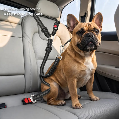 Adjustable Dog Car Seat Belt — Dual Fixing Design with Headrest Attachment & Seat Buckle | Shock-Absorbing, Heavy-Duty Metal Clip | For Small & Large Dogs | Safe & Comfortable Car Rides