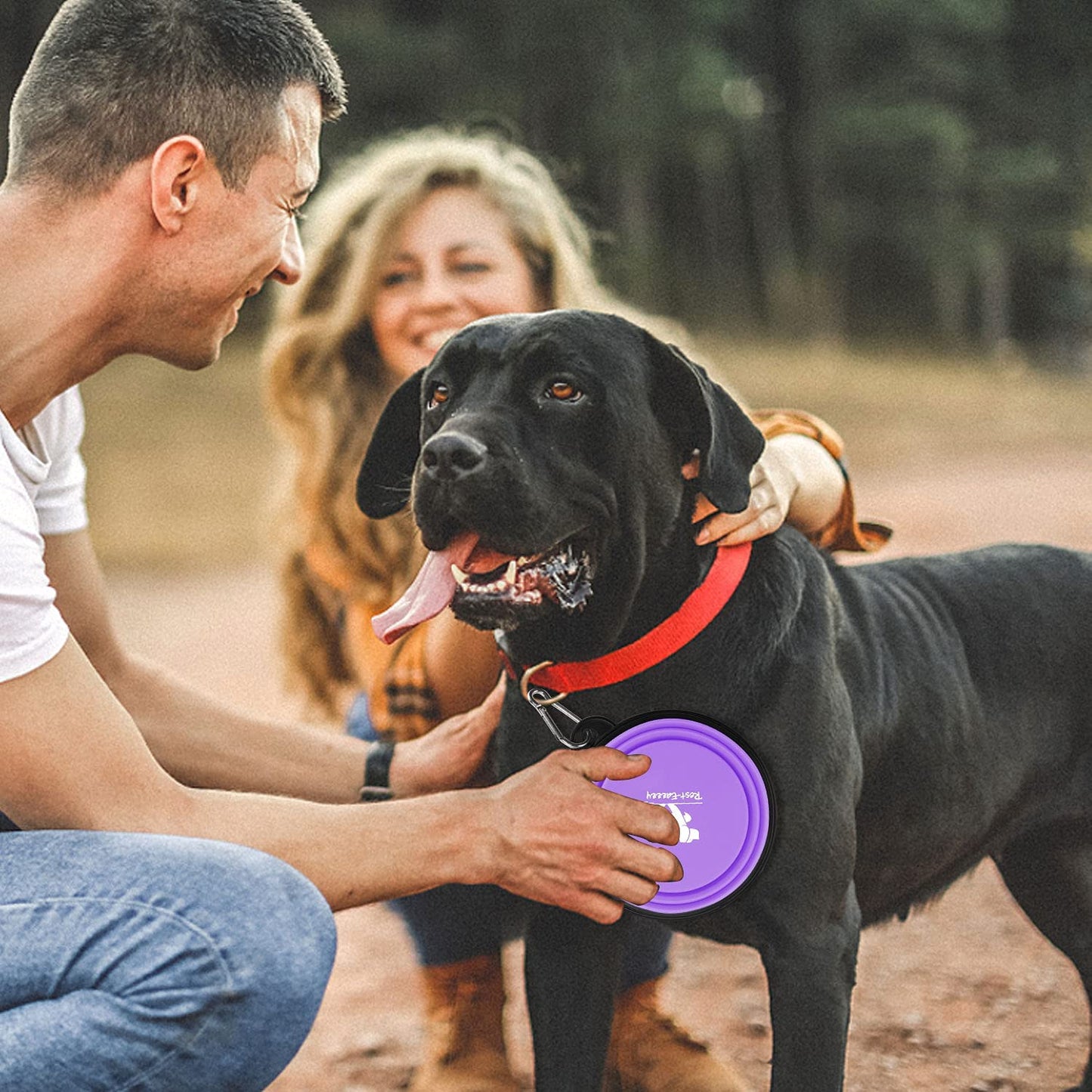 Collapsible Dog Bowls for Travel — 2-Pack BPA-Free Silicone Foldable Food & Water Bowls with Carabiner Clips | For Dogs & Cats | Purple & Pink, Small