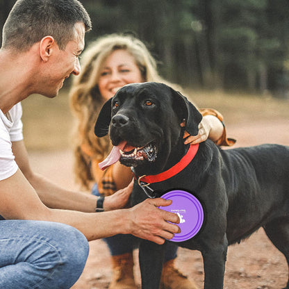 Collapsible Dog Bowls for Travel — 2-Pack BPA-Free Silicone Foldable Food & Water Bowls with Carabiner Clips | For Dogs & Cats | Purple & Pink, Small