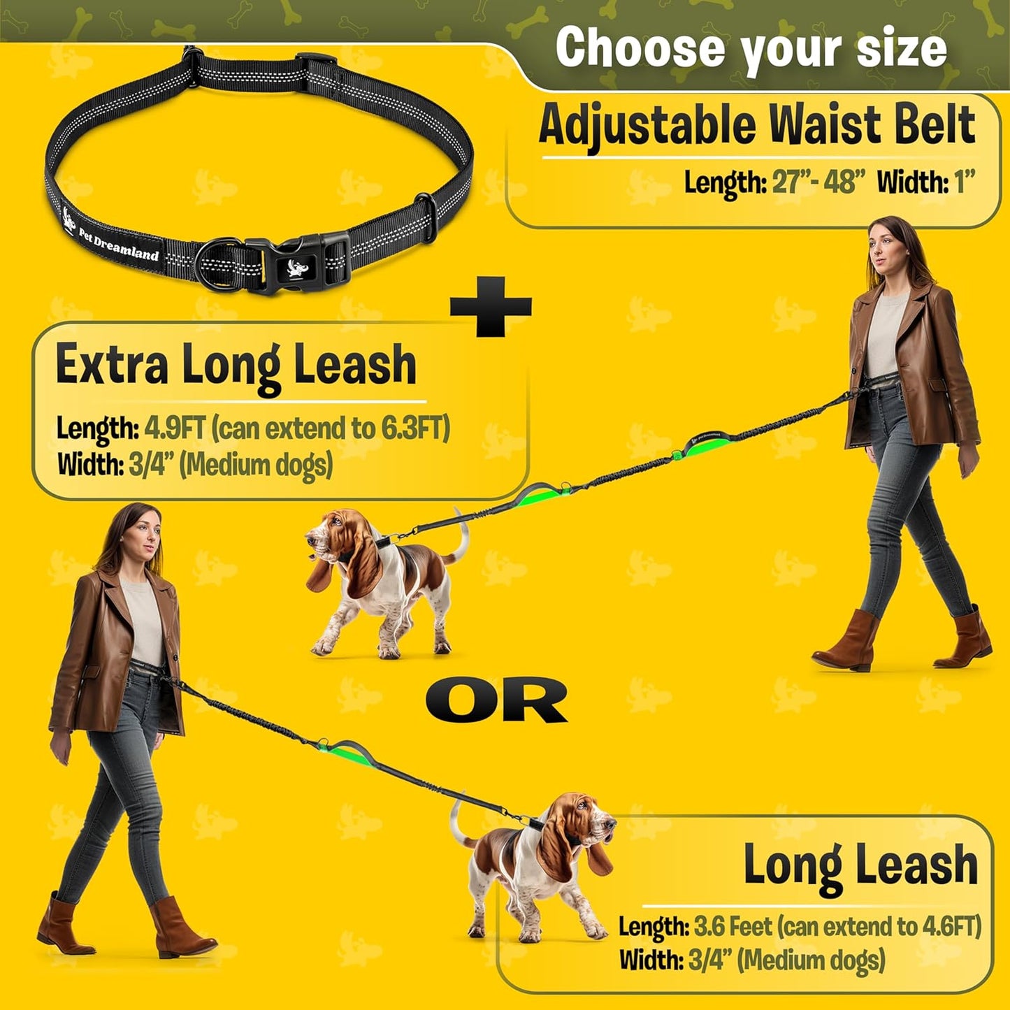 Hands-Free Dog Leash with Waist Belt — Triple Bungee Shock-Absorbing Leash for Medium Dogs | 2 Padded Handles, Reflective Stitching | Running, Walking, Hiking & Skijoring