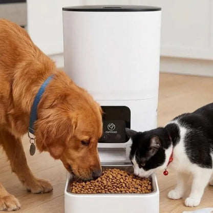 PAPIFEED Wi-Fi Automatic Pet Feeder — 6L App-Controlled Dog & Cat Feeder | Scheduled Feeding, Smart Life Compatible | Stainless Steel & Plastic | Dishwasher Safe Parts