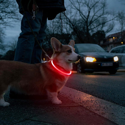 LED Light-Up Dog Collar — USB Rechargeable, 360° Glow, Visible Up to 400 Yards | 3 Flash Modes | Adjustable for All Sizes | Water-Resistant Night Safety Collar | Red