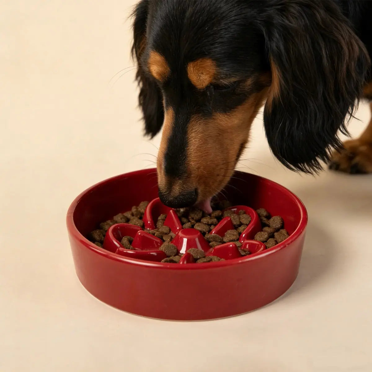 Ceramic Slow Feeder Bowl for Dogs & Cats — Flower Pattern, Anti-Slip Base | Prevents Bloat & Vomiting | 16cm Wide Opening | Multiple Colors