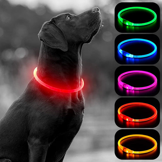 LED Light-Up Dog Collar — USB Rechargeable, 360° Glow, Visible Up to 400 Yards | 3 Flash Modes | Adjustable for All Sizes | Water-Resistant Night Safety Collar | Red