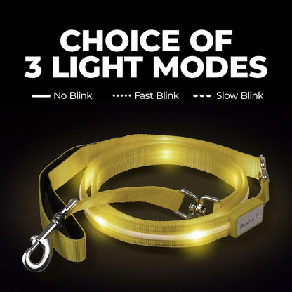 BLAZIN Light-Up Dog Leash — USB Rechargeable, Visible Up to 1,000 Feet | Waterproof, 3 Lighting Modes | 4ft, Purple | Glow-in-the-Dark LED Leash for Night Walks