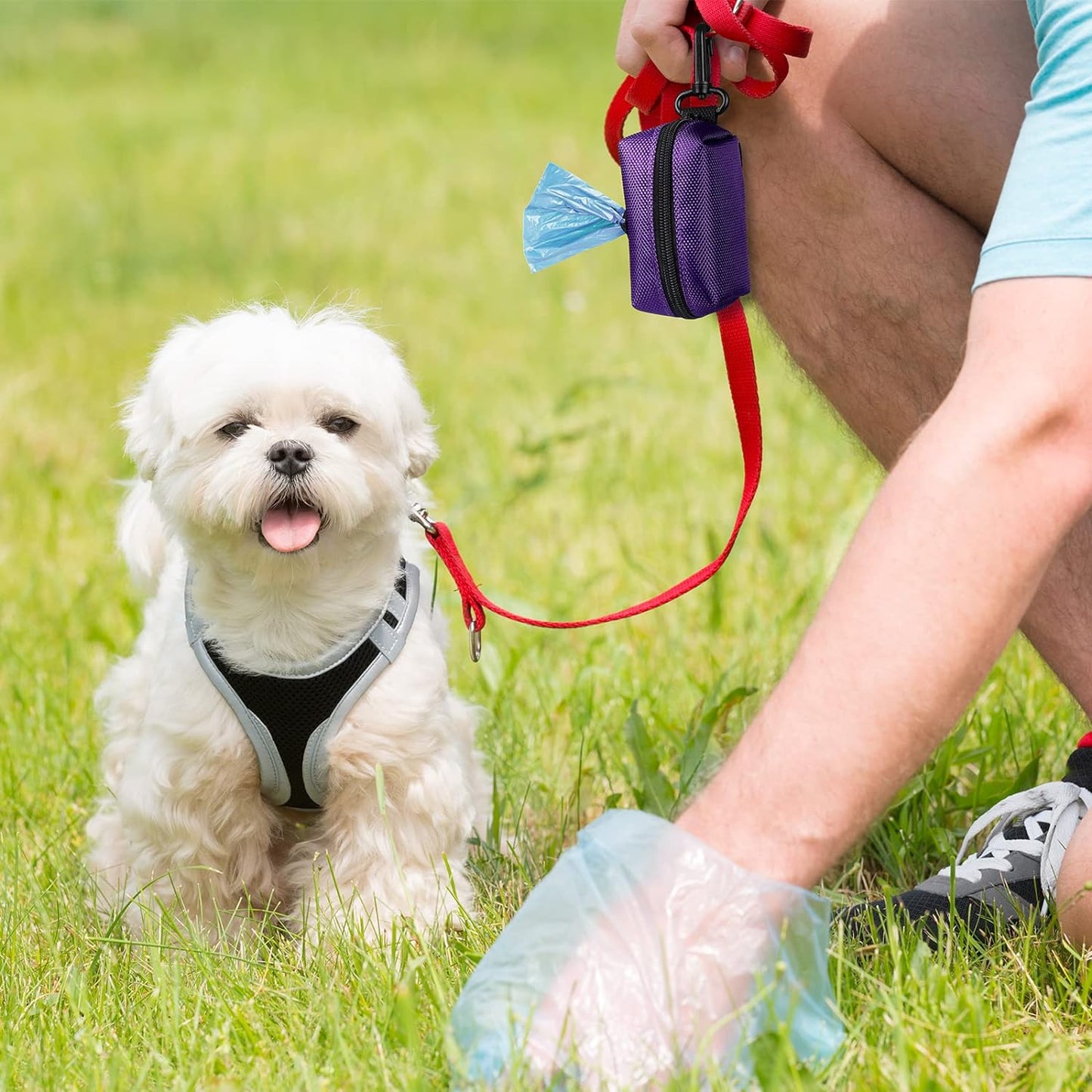 Dog Poop Bag Dispenser & Carrier Set — 2 Pack, Purple & Black | Soft Oxford Fabric, Leash Attachment | Hands-Free Walking Set with Waste Bag Holder | Fits Any Leash or Harness