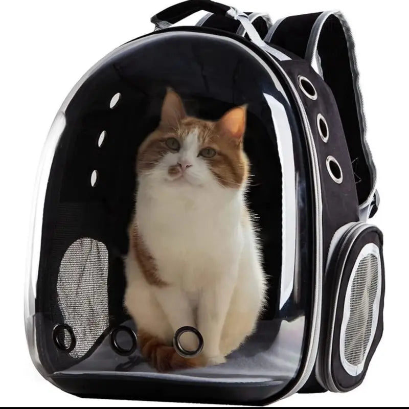 Bubble Pet Carrier — Panoramic Window Carrier Bag for Cats & Small Dogs | Comfortable, Secure & Ventilated | Perfect for Travel & Daily Use