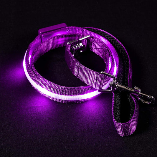 BLAZIN Light-Up Dog Leash — USB Rechargeable, Visible Up to 1,000 Feet | Waterproof, 3 Lighting Modes | 4ft, Purple | Glow-in-the-Dark LED Leash for Night Walks