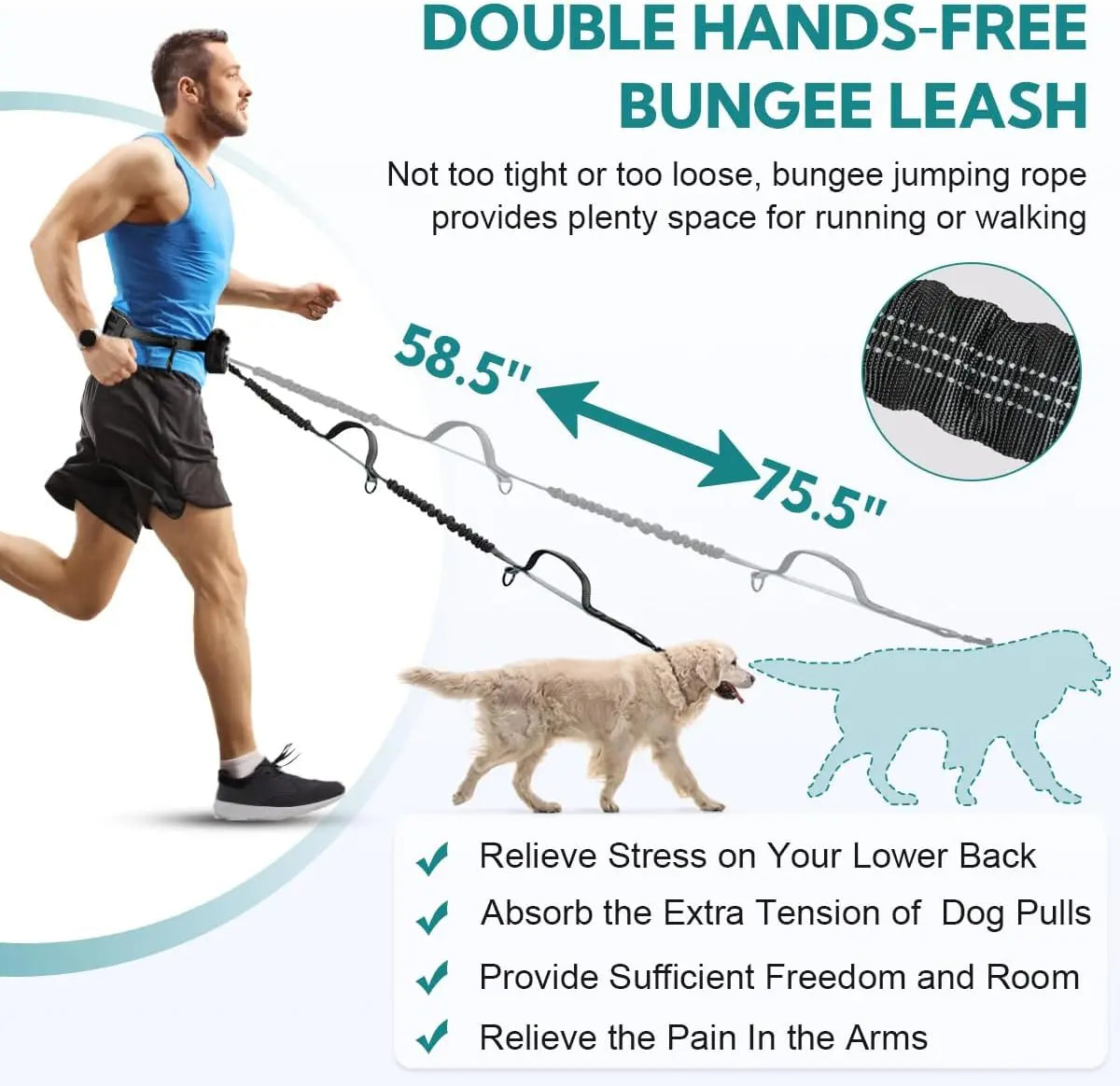 Pipidodo Hands-Free Dual Dog Leash — Walk Two Dogs at Once with Waist Bag & Cushioned Pad | Tangle-Free, Shock-Absorbing | Adjustable Waist Belt for Walking, Running & Hiking