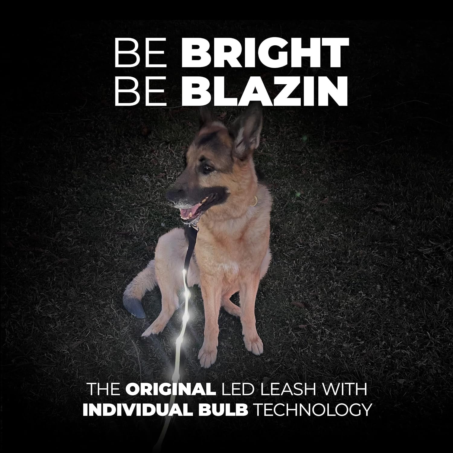 BLAZIN Light-Up Dog Leash — USB Rechargeable, Visible Up to 1,000 Feet | Waterproof, 3 Lighting Modes | 4ft, Purple | Glow-in-the-Dark LED Leash for Night Walks