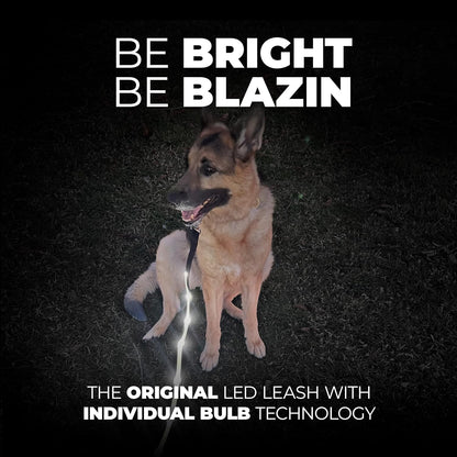 BLAZIN Light-Up Dog Leash — USB Rechargeable, Visible Up to 1,000 Feet | Waterproof, 3 Lighting Modes | 4ft, Purple | Glow-in-the-Dark LED Leash for Night Walks